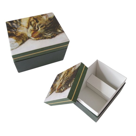 Cat's Cardboard Storage Boxes Set of Four Different Sizes    3260 - Picture 5 of 11